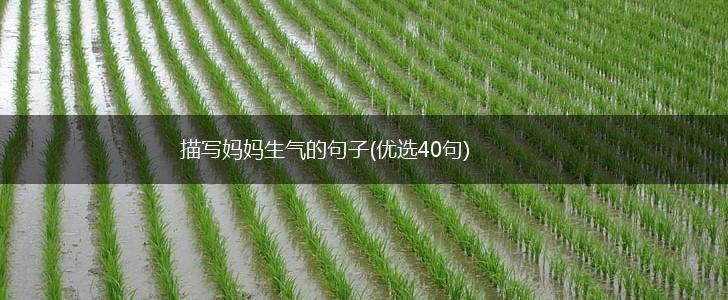 描写妈妈生气的句子(优选40句),第1张