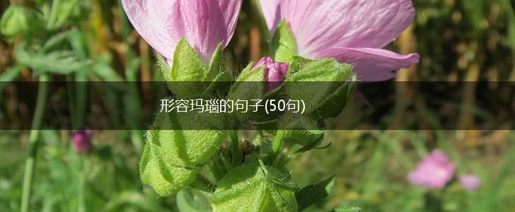 形容玛瑙的句子(50句),第1张