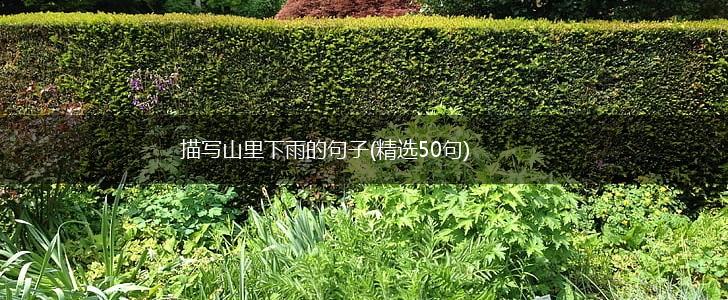 描写山里下雨的句子(精选50句),第1张