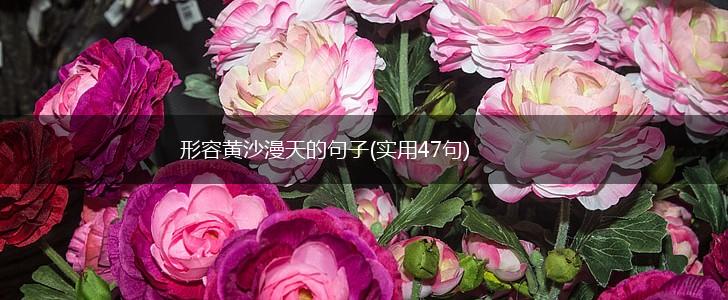 形容黄沙漫天的句子(实用47句),第1张