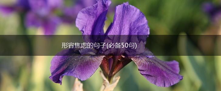 形容焦虑的句子(必备50句),第1张