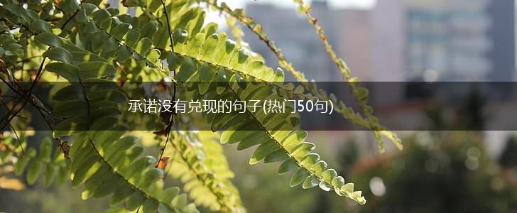 承诺没有兑现的句子(热门50句),第1张