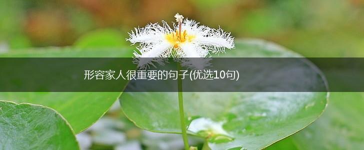 形容家人很重要的句子(优选10句),第1张