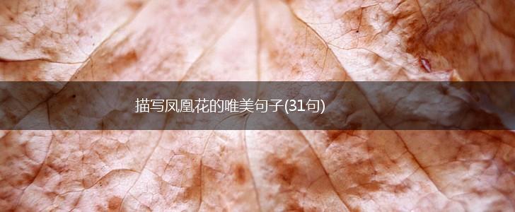 描写凤凰花的唯美句子(31句),第1张