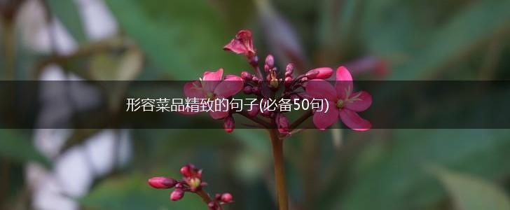 形容菜品精致的句子(必备50句),第1张
