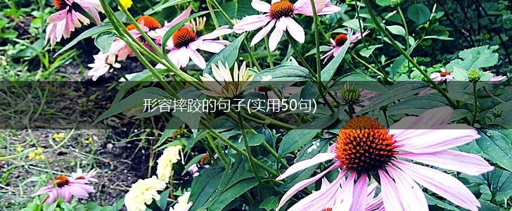 形容摔跤的句子(实用50句),第1张
