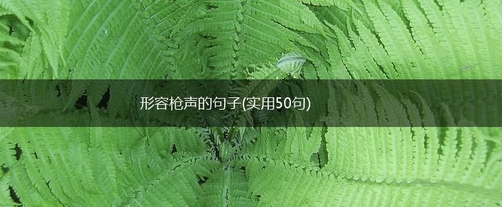 形容枪声的句子(实用50句),第1张 形容枪声的句子(实用50句),第1张