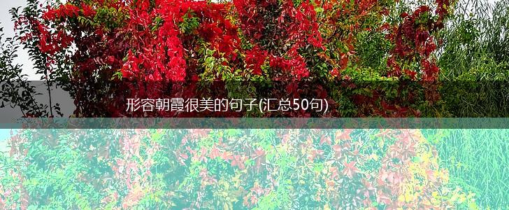 形容朝霞很美的句子(汇总50句),第1张
