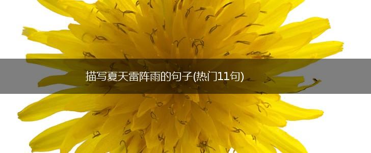 描写夏天雷阵雨的句子(热门11句),第1张