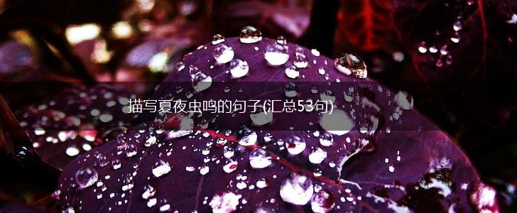 描写夏夜虫鸣的句子(汇总53句),第1张