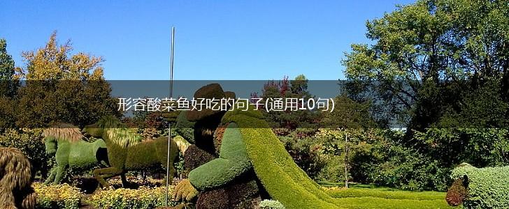 形容酸菜鱼好吃的句子(通用10句),第1张