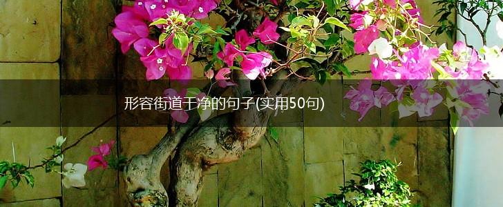 形容街道干净的句子(实用50句),第1张