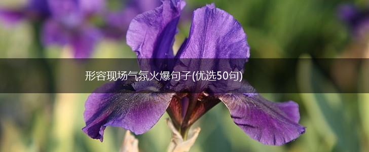 形容现场气氛火爆句子(优选50句),第1张