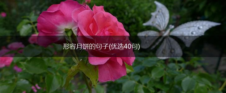 形容月饼的句子(优选40句),第1张 形容月饼的句子(优选40句),第1张