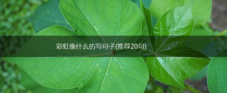 彩虹像什么仿写句子(推荐20句),第1张