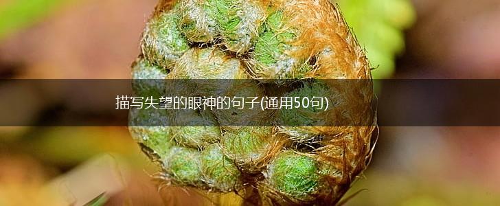 描写失望的眼神的句子(通用50句),第1张