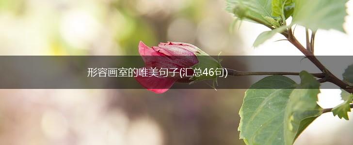 形容画室的唯美句子(汇总46句),第1张