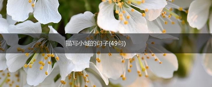 描写小城的句子(49句),第1张