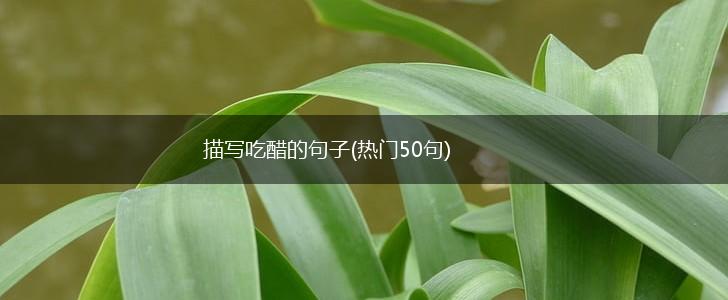 描写吃醋的句子(热门50句),第1张