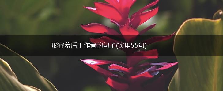 形容幕后工作者的句子(实用55句),第1张