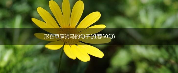 形容草原骑马的句子(推荐50句),第1张