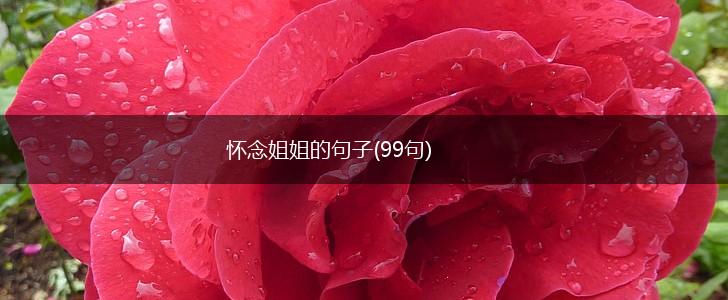 怀念姐姐的句子(99句),第1张 怀念姐姐的句子(99句),第1张