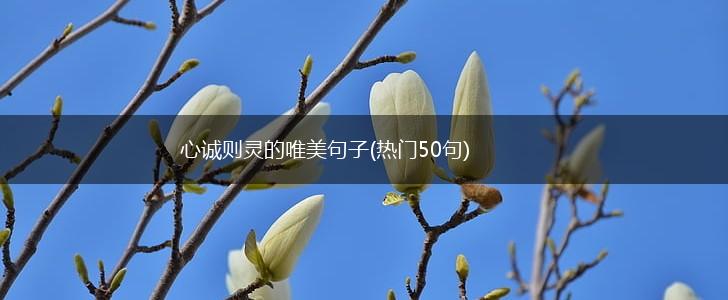 心诚则灵的唯美句子(热门50句),第1张