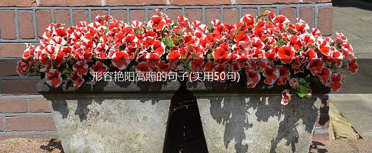 形容艳阳高照的句子(实用50句),第1张