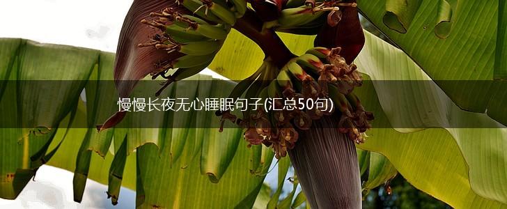 慢慢长夜无心睡眠句子(汇总50句),第1张