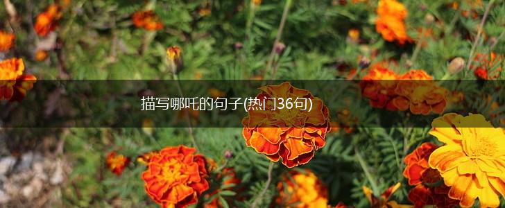 描写哪吒的句子(热门36句),第1张