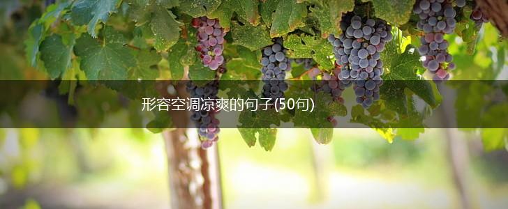形容空调凉爽的句子(50句),第1张