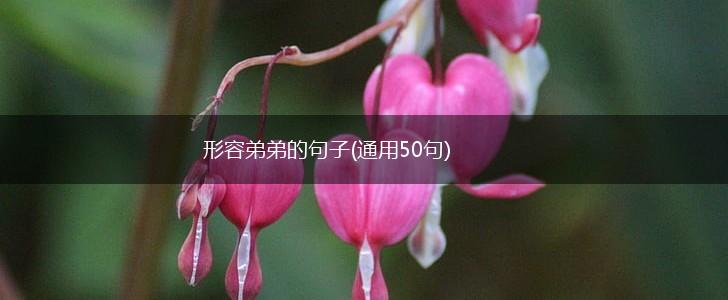 形容弟弟的句子(通用50句),第1张