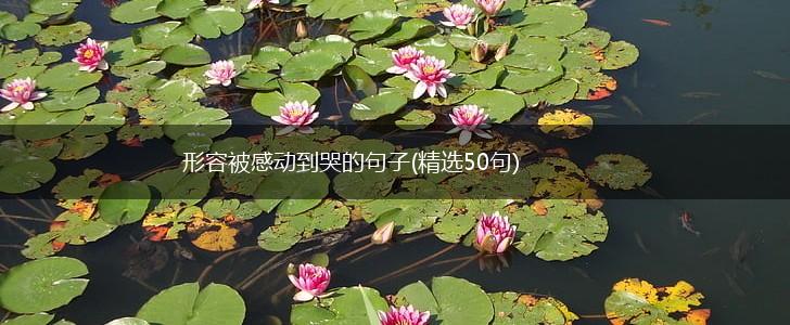 形容被感动到哭的句子(精选50句),第1张