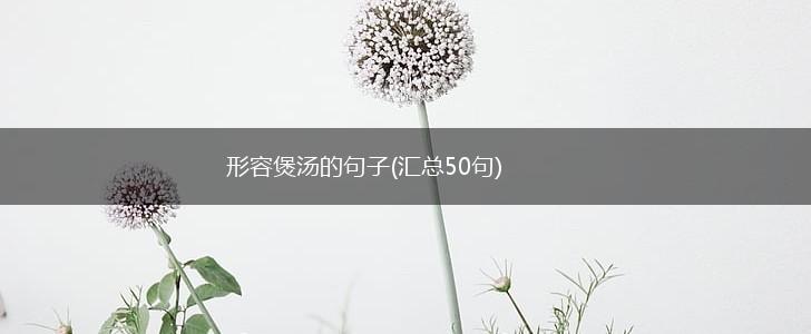 形容煲汤的句子(汇总50句),第1张