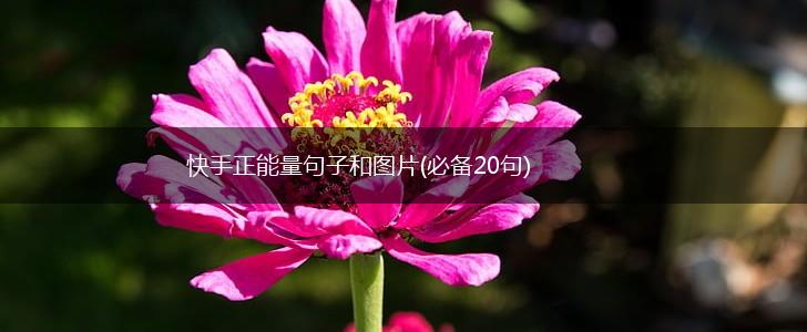 快手正能量句子和图片(必备20句),第1张