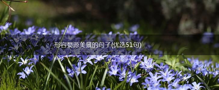 形容婺源美景的句子(优选51句),第1张