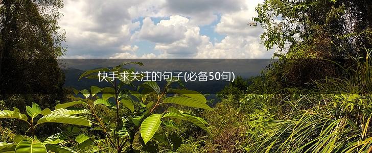 快手求关注的句子(必备50句),第1张
