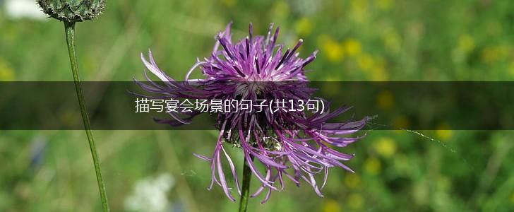描写宴会场景的句子(共13句),第1张