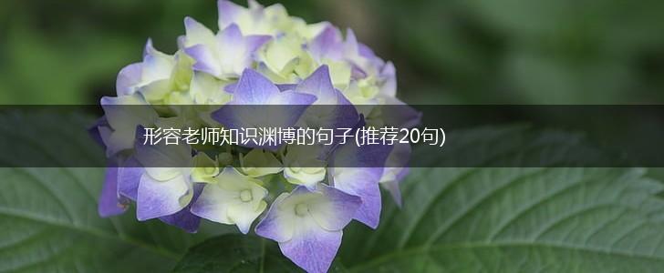 形容老师知识渊博的句子(推荐20句),第1张