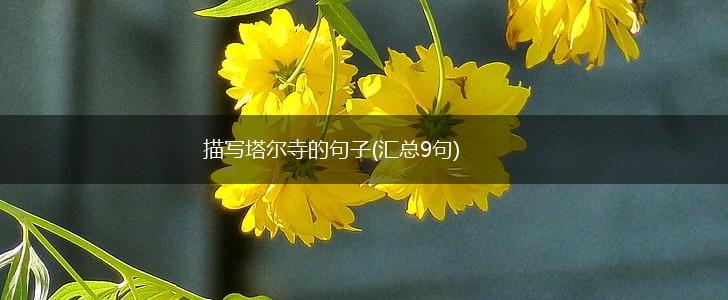 描写塔尔寺的句子(汇总9句),第1张