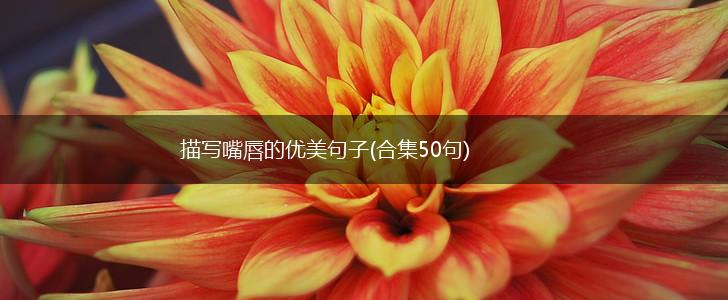 描写嘴唇的优美句子(合集50句),第1张