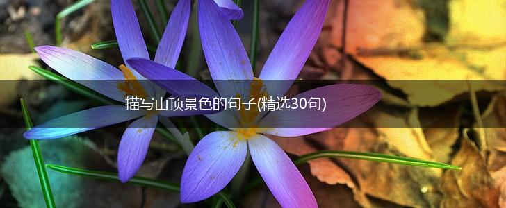 描写山顶景色的句子(精选30句),第1张