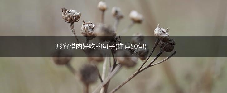 形容腊肉好吃的句子(推荐50句),第1张
