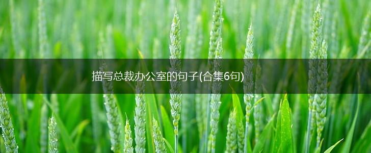 描写总裁办公室的句子(合集6句),第1张