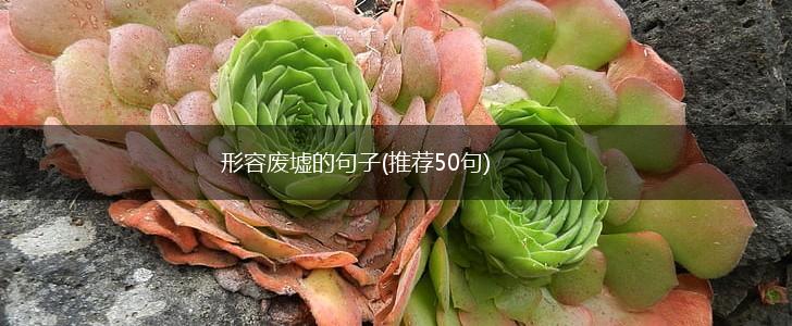 形容废墟的句子(推荐50句),第1张