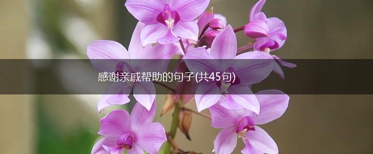 感谢亲戚帮助的句子(共45句),第1张