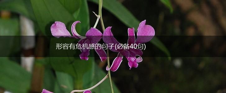 形容有危机感的句子(必备40句),第1张