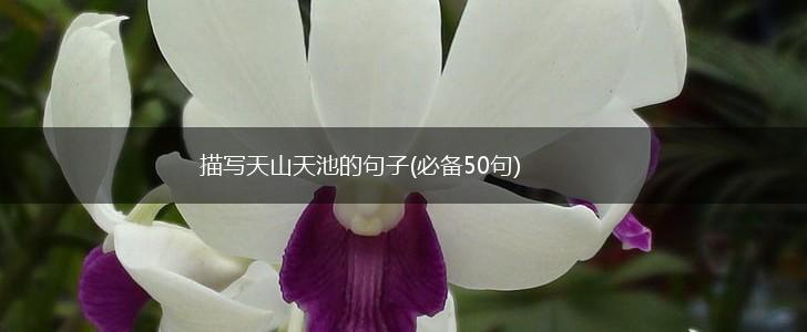 描写天山天池的句子(必备50句),第1张