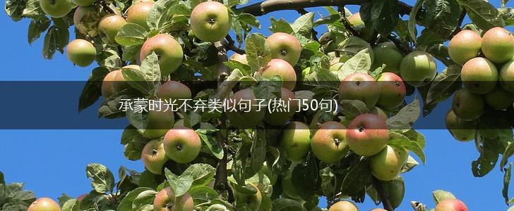 承蒙时光不弃类似句子(热门50句),第1张