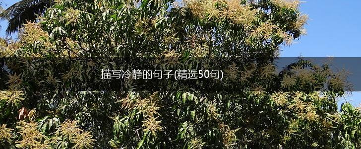 描写冷静的句子(精选50句),第1张